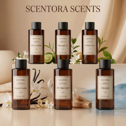 SCENTORA |מארז חצי שנתי — 5 ריחות לבחירה